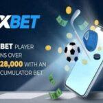 1xbet Beyzbol Bahis Sistemleri