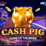 1xbet Poker Hile Sayfası